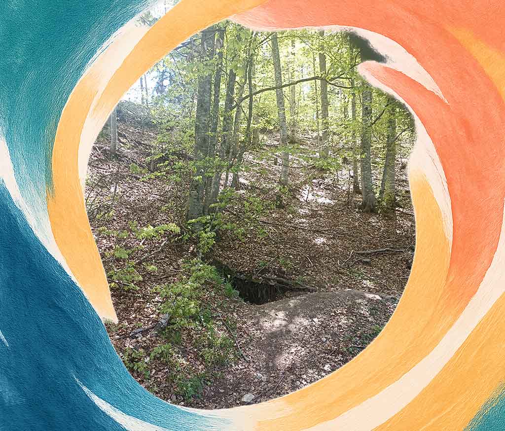 A bear den dug into the soil at the Bear Park in Bulgaria, showing preparation for winter hibernation.