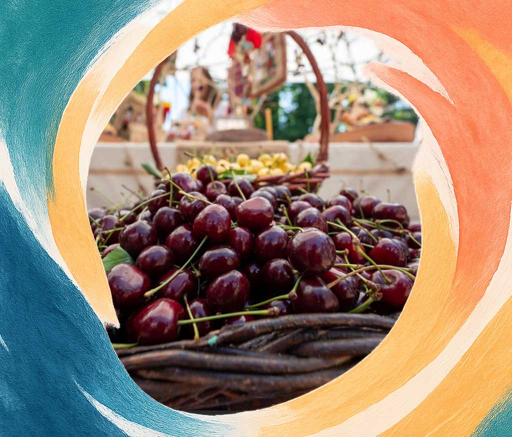 Dark red sweet cherries in basket and white cherries in the background